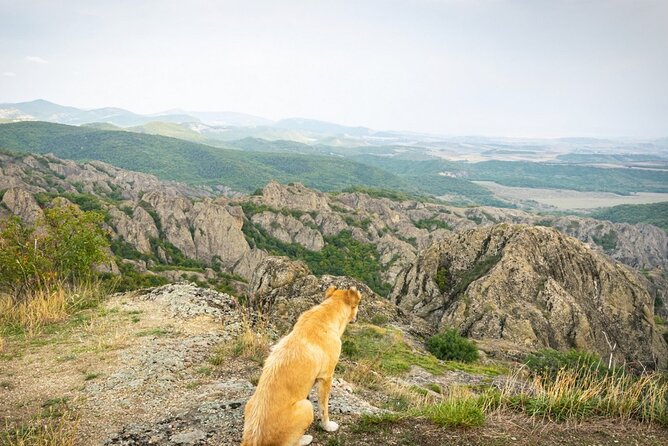 1 day hiking in Birtvisi Canyon from Tbilisi - The guide and driver experience matters more than you think