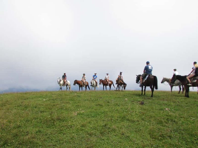 1 Day Horse Riding Adventure in Borjomi Mountains - Key highlights at a glance