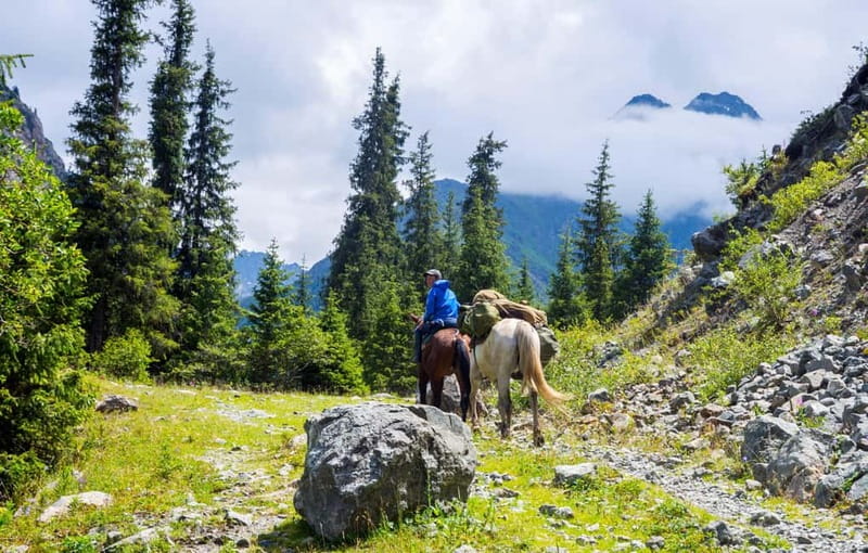 1 Day Horse Riding Adventure in Borjomi Mountains - Why a horseback day in Borjomi feels like a reset
