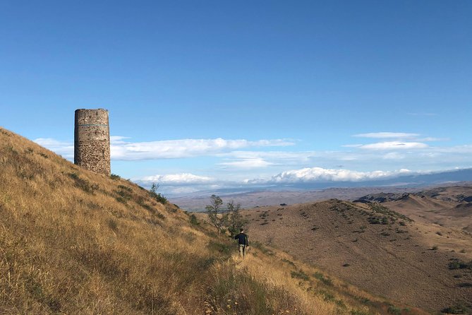 1-Day Trip to David Gareja Monastery with Rainbow Hills & Sighnaghi from Tbilisi - The Chichkhituri tower stop: a quick architectural breadcrumb
