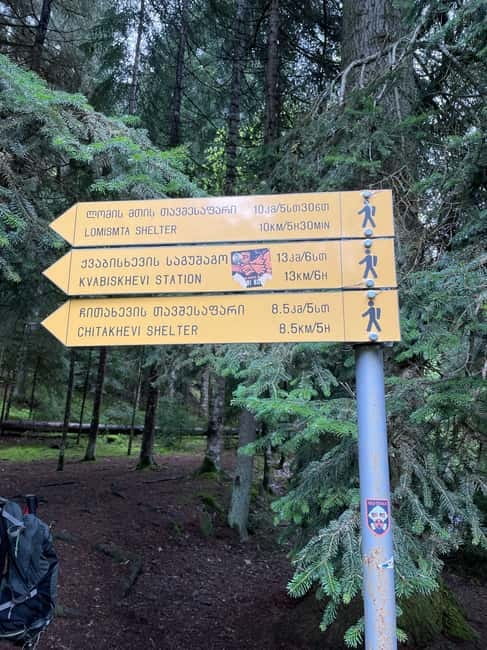 13 km hiking tour from Kutaisi to Borjomi - Borjomi-Kharagauli National Park entry and the Footprints trail plan