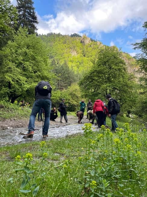 13 km hiking tour from Kutaisi to Borjomi - The 13 km hike, elevation, and why you should respect the effort
