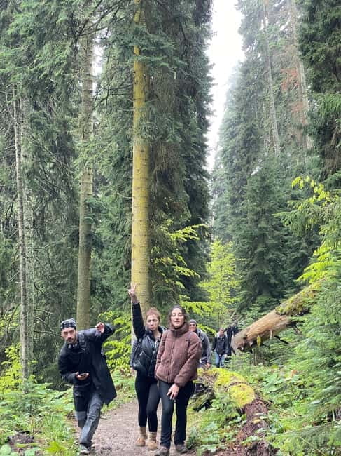13 km hiking tour from Kutaisi to Borjomi - The van ride that buys you the real trail time