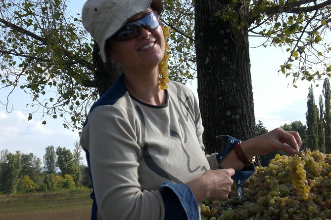 2-Day Private Wine Tour to Kakheti from Tbilisi - Why Kakheti makes sense as a private 2-day wine trip from Tbilisi