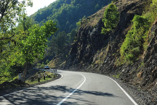 3-Day Private Mestia and Ushguli Tour from Tbilisi - Who should book this private tour, and who should think twice