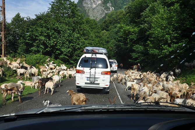 3-Day Svaneti Hiking Tour - The Enguri Dam drive: a long start, free ticket, great reset