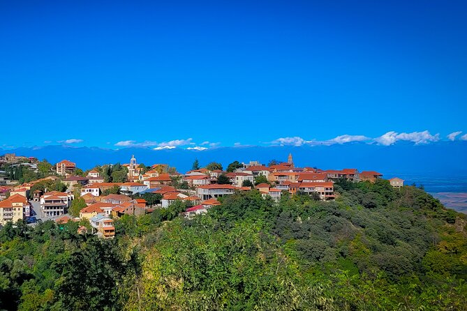 A day tour to Kakheti region/wine/culture/history and gastro tour - Price and Logistics: What $160 Covers for Up to Two