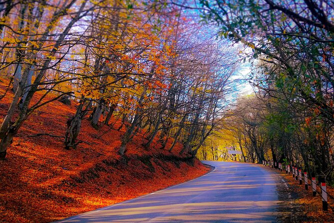 A day tour to Kakheti region/wine/culture/history and gastro tour - Your Day Starts at 9:00, Then the Map Does the Work
