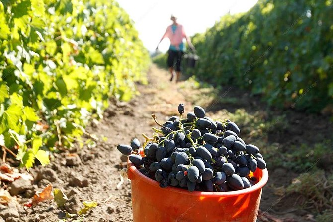 Adjarian Mountains Waterfalls Wine Tour Best views from Batumi Kobuleti - Makhuntseti Waterfall and the Queen Tamara Arch Bridge