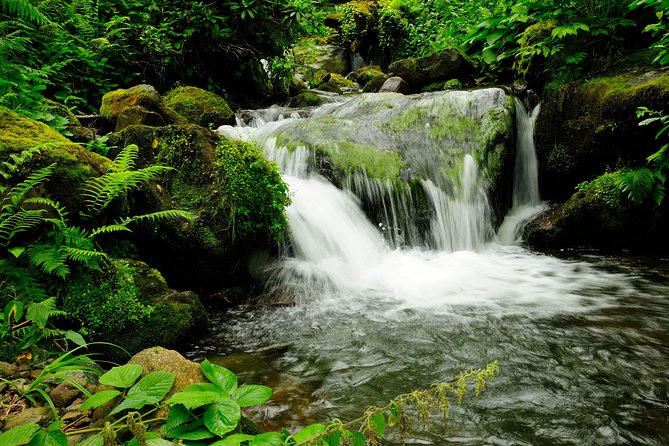 Adjarian Mountains Waterfalls Wine Tour Best views from Batumi Kobuleti - What You Pay: Value for a Private Group Plus Extra Costs