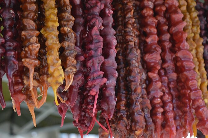Adventure in Kakheti - Bodbe, Sighnaghi, wine tasting (Private Experience) - KTW Wine Factory: tasting Georgian wines in the real Kakheti setting