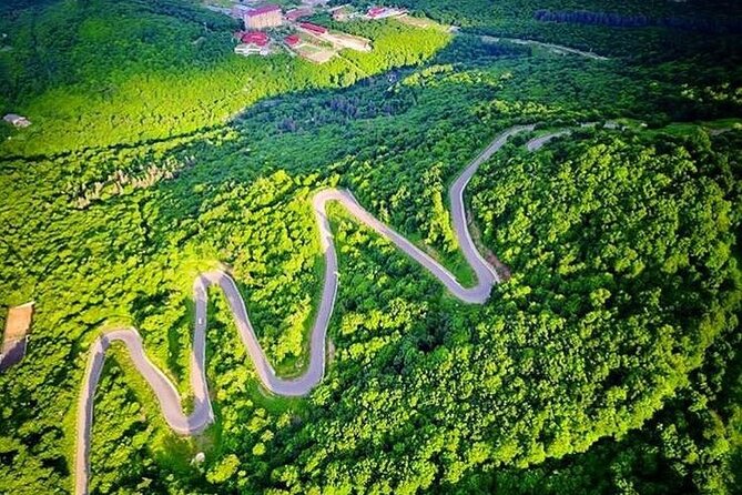 Armenia Day Trip from Tbilisi: Private Experience - Dilijan National Park: Two Hours to Choose Your Own Outdoor Pace