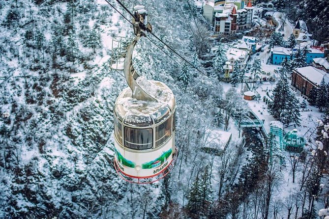 Bakuriani-Borjomi full day trip - Getting there from Tbilisi: timing, transport, and how to use the 9:00 start