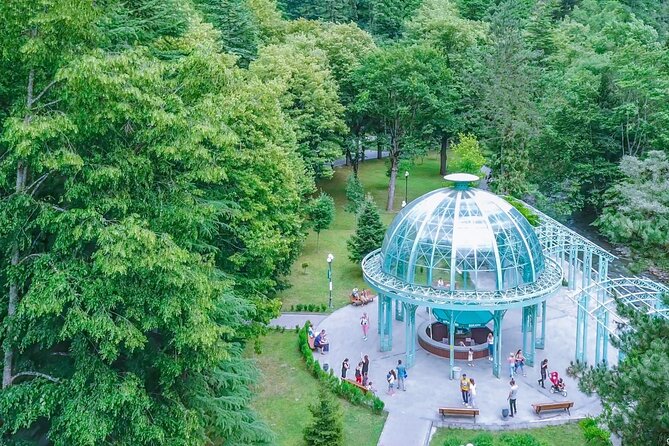 Bakuriani-Borjomi full day trip - Who should book this Bakuriani-Borjomi trip