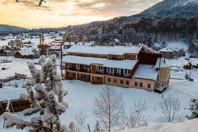 Bakuriani ski resort and the legendary Borjomi (Group Tour) - Bakuriani by Kukushka train: pine forests, cold air, and that narrow-gauge magic