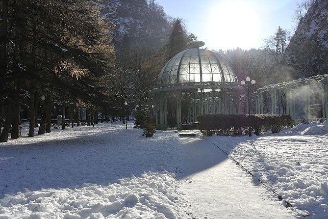Bakuriani ski resort and the legendary Borjomi (Group Tour) - Value check: what $55 covers, and how your real total changes