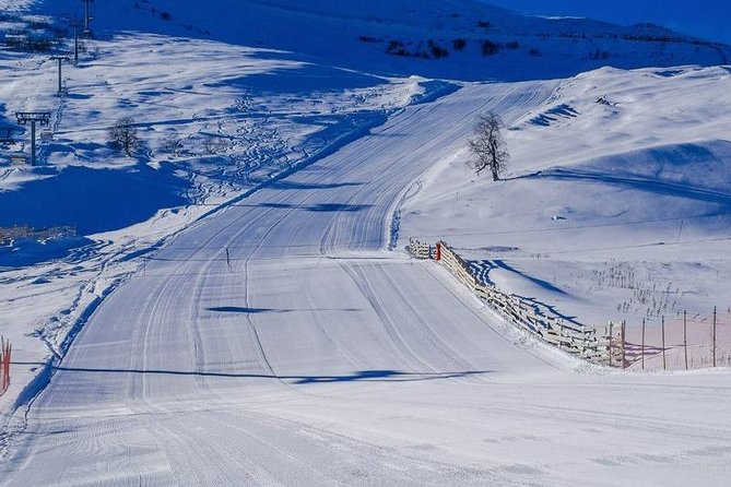 Bakuriani ski resort and the legendary Borjomi (Group Tour) - Guide names that show up for a reason: Paata and Giorgi