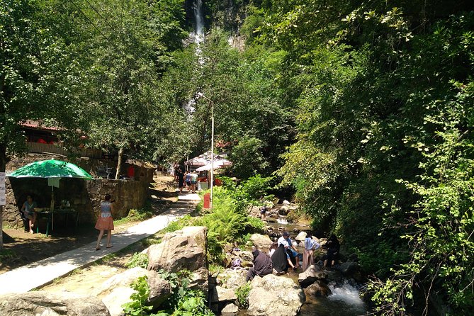 Batumi 4 Days Tour - Who This Tour Fits Best (And Who Might Want a Different Style)