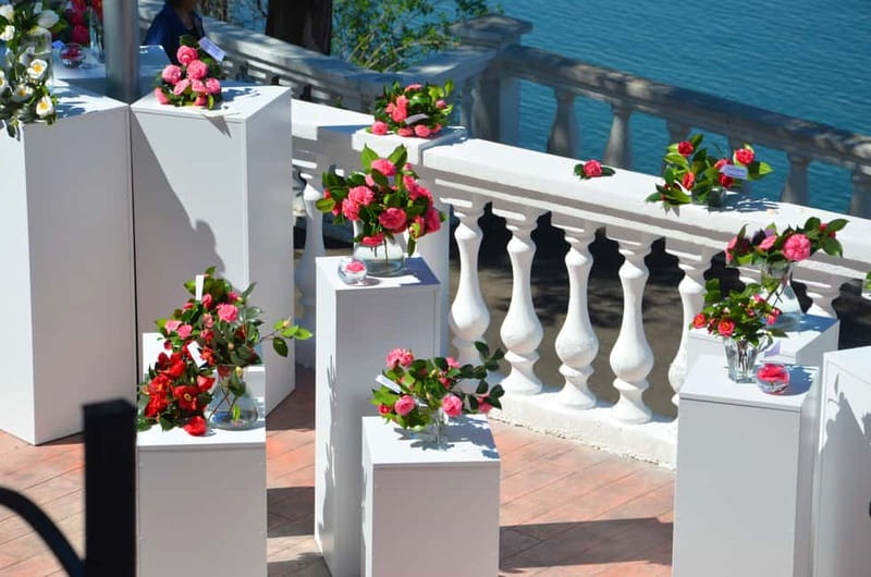 Batumi: Botanical Garden, Petra Fortress and Miniatures Park - Batumi Botanical Garden: Sea Air, Mountain Angles, and the Zipline Option