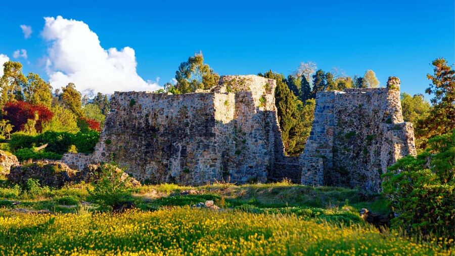 Batumi City - Botanical Garden - Petra Fortress from Kutaisi - Batumi Botanical Garden: Coastal Nature in One Guided Hour