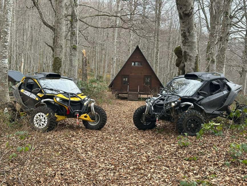 Batumi: Mtirala ATV, Buggy Maverick & Horse Riding Adventure - Key highlights you should care about