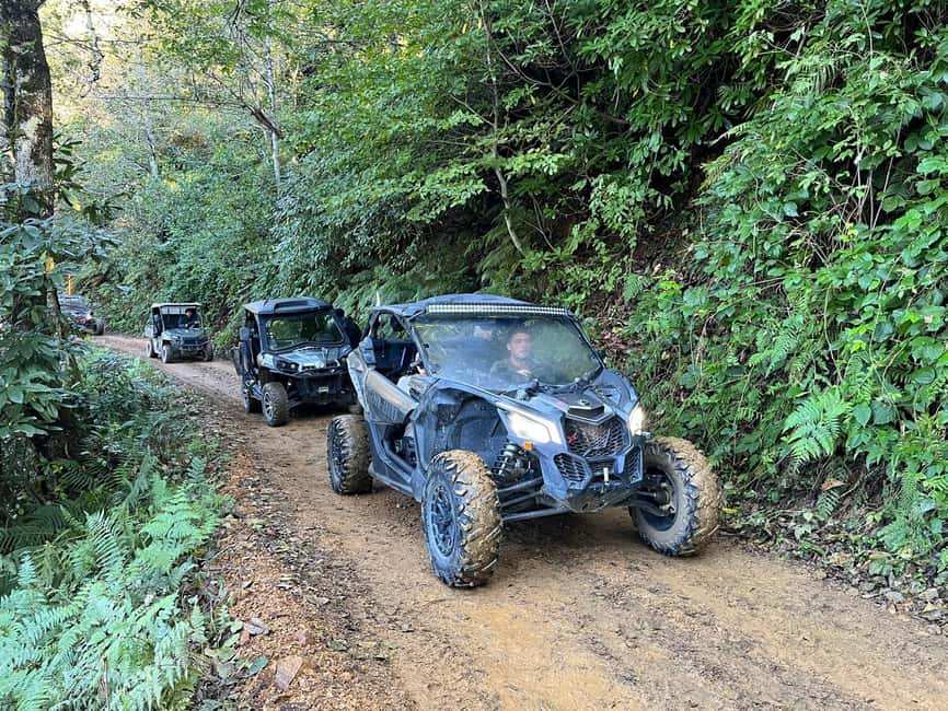Batumi: Mtirala ATV, Buggy Maverick & Horse Riding Adventure - Getting to Mtirala: how the 4-hour day is structured