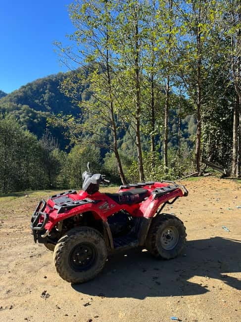 Batumi: Mtirala ATV, Buggy Maverick & Horse Riding Adventure - Buggy driving: more room for friends and a better group fit