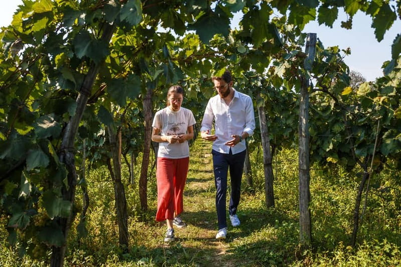 Batumi to Kutaisi, Wine & Dine - Kutaisi walking tour: parks, memorials, bridges, and the Mon Plasir arch