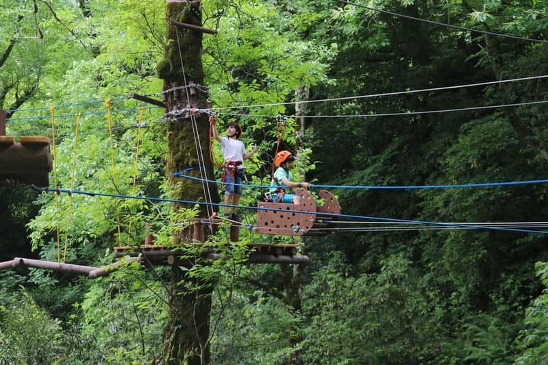 Batumi to Mtirala National park - Half day hiking group tour - Getting to the Waterfalls: The 3 km Forest Hike