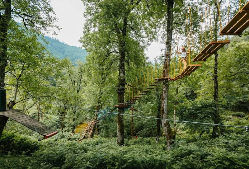 Batumi to Mtirala National park - Half day hiking group tour - Humidity in Adjara: Why Mtirala Feels Different