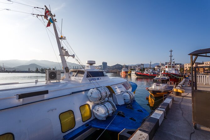Batumi Walking Tour - Quick hits: what makes this Batumi walk worth your time
