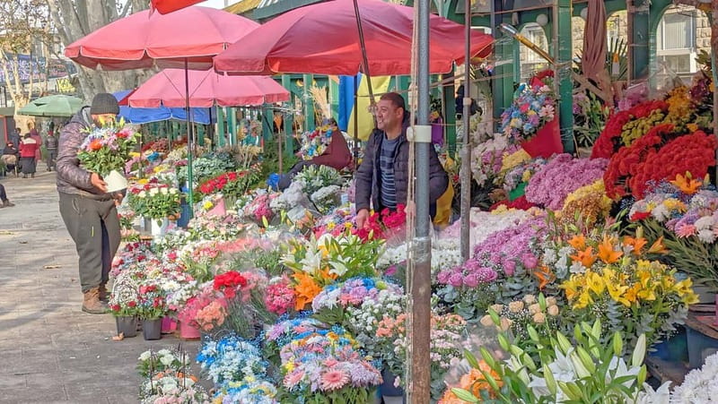 Beyond the Old City: Tbilisi's Hidden Gems Walking Tour - The Dry Bridge flea and flower market, where photos meet backstory
