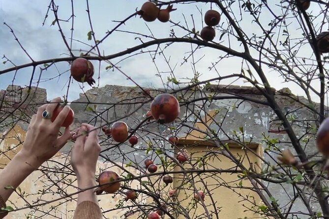 Break Bread with Kutaisi Locals - The menu spread: what to expect and how to read it