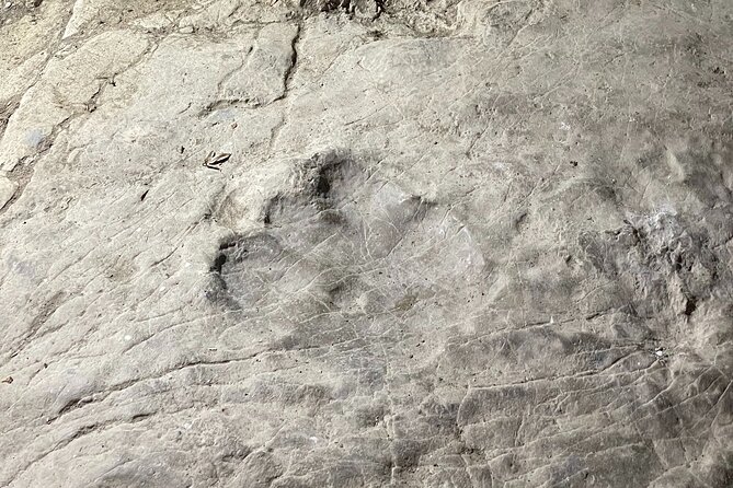 CANYONS & CAVE Tour from Kutaisi - Okatse, Martvili & Prometheus - Guides Matter: From Saba and Joseph to George and Lasha