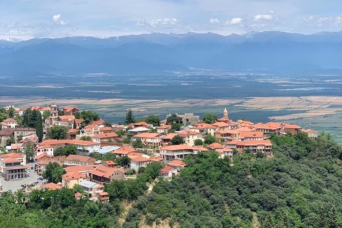 Day tour to Kakheti wine region Georgia - Bodbe Monastery of St. Nino: The View Is the Point
