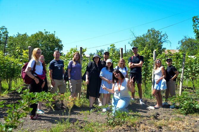 Day Trip to Kakheti Wine Region Including 9 Wine Tastings - How the guide can make or break the day