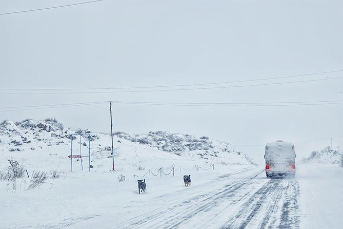 Experience Armenia - Day Trip from Tbilisi - Guides and driving: why the day feels easy even with border formalities
