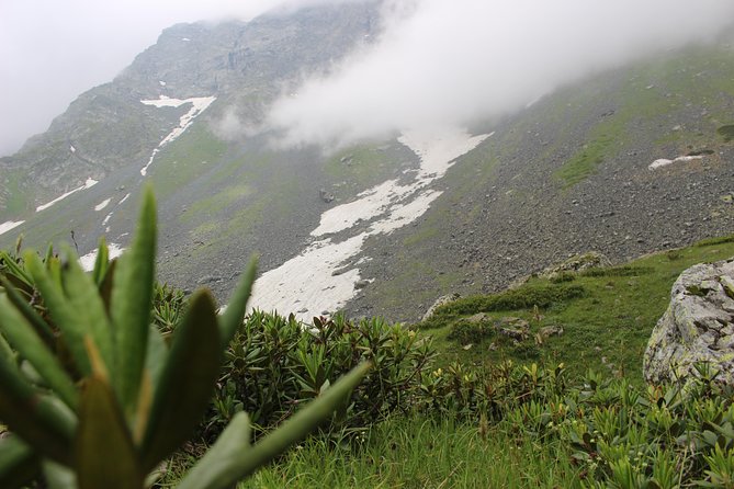 Five days tour to Khevsureti (Abudelauri lakes) & Kazbegi with hikes. - Comfort, local stays, and what your money actually buys