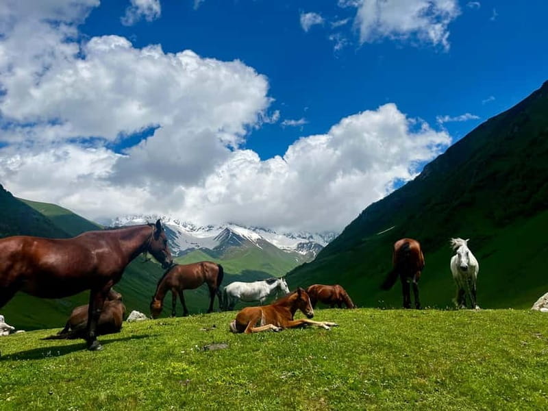 From Kutaisi: Svaneti Mountain Villages 2-Day 4x4 Safari - Day 2 summer: Mestia towers, museum time, Hatsvali lift views, and Enguri Dam