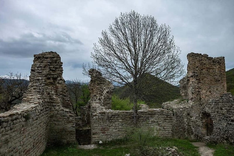 From Tbilisi: Bodbe, Sighnaghi and Telavi Day Trip - Key Points You’ll Care About