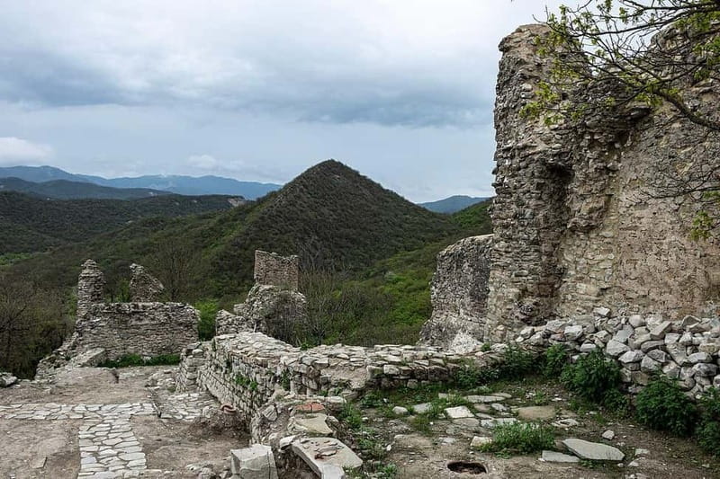 From Tbilisi: Bodbe, Sighnaghi and Telavi Day Trip - Telavi’s Plane Tree and Batonis Tsikhe Fortress: History You Can Point At
