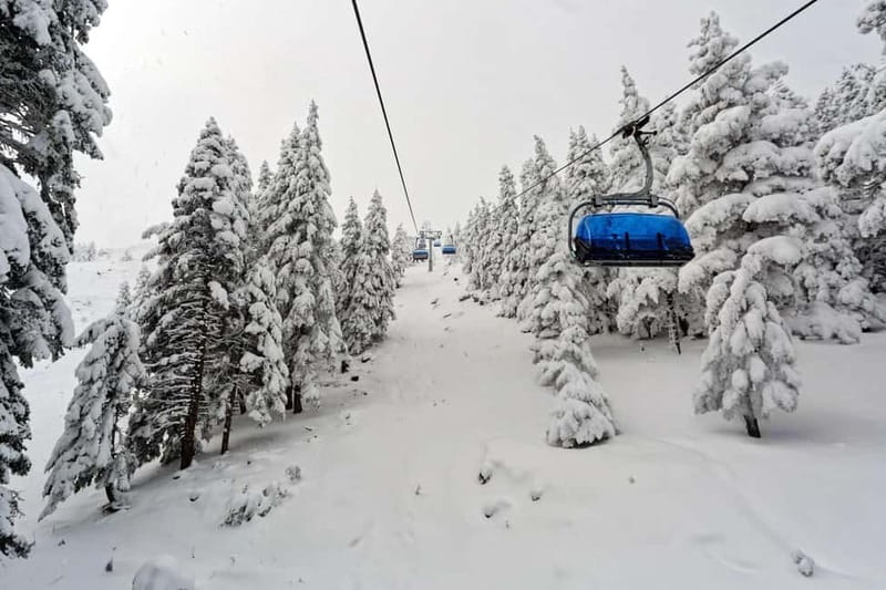From Tbilisi: Borjomi and Bakuriani Ski Resort Private Tour - Quick Hits