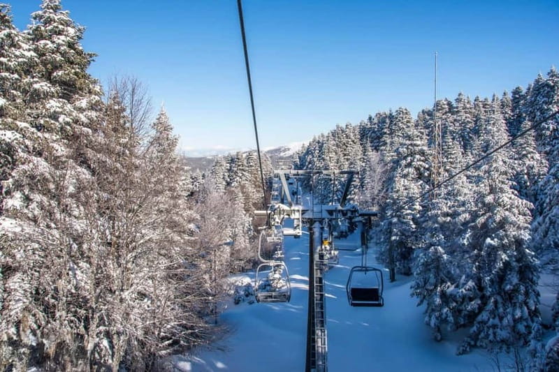 From Tbilisi: Borjomi and Bakuriani Ski Resort Private Tour - Borjomi Central Park: Mineral Water First, Then Cable Cars and Quiet Views