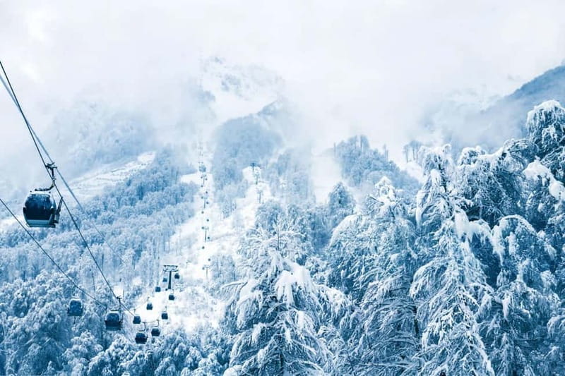 From Tbilisi: Borjomi and Bakuriani Ski Resort Private Tour - Private Comfort From Tbilisi, With George Handling the Flow