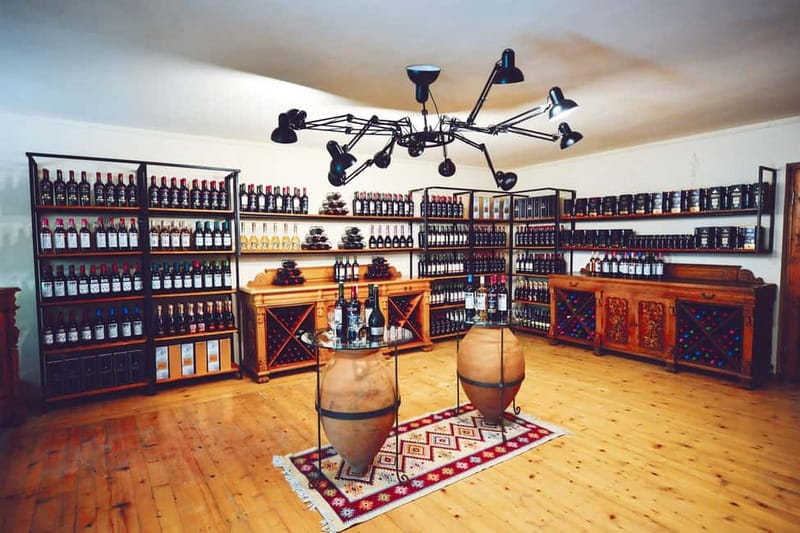 From Tbilisi: Kakheti & Sighnaghi Guided Day Trip with Wine - Guides, language, and comfort on the road