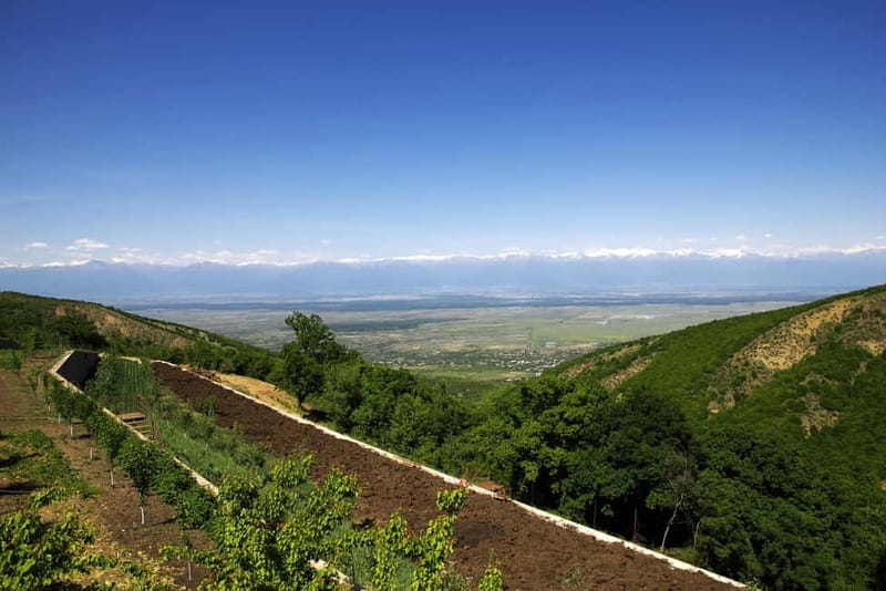 From Tbilisi: Kakheti & Sighnaghi Guided Day Trip with Wine - Pickup, timing, and how the day pacing really feels