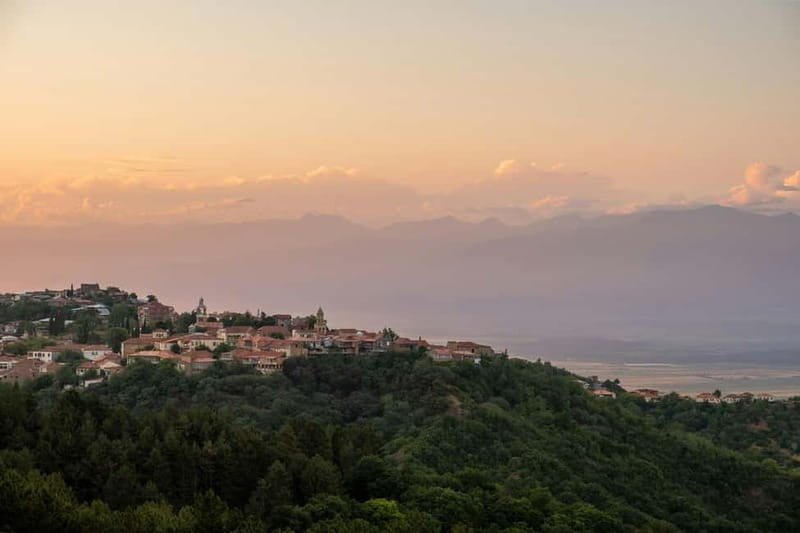 From Tbilisi: Kakheti Wine, History & Traditions Day Trip - Mzisguli wine house tasting menu: Saperavi, Kindzmarauli, qvevri Rkatsiteli, and chacha