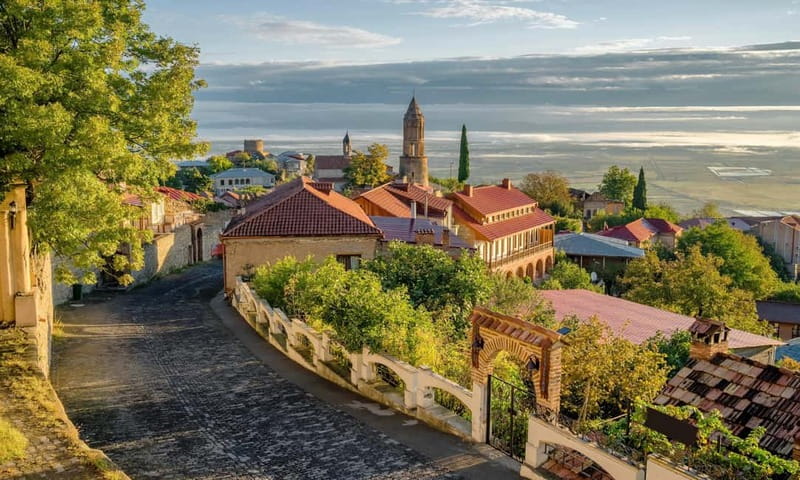 From Tbilisi: Kakheti Wine Region Tour with 9 Wine Tastings - KTW Winery in Patardzeuli: production tour plus 5 tastings and chacha