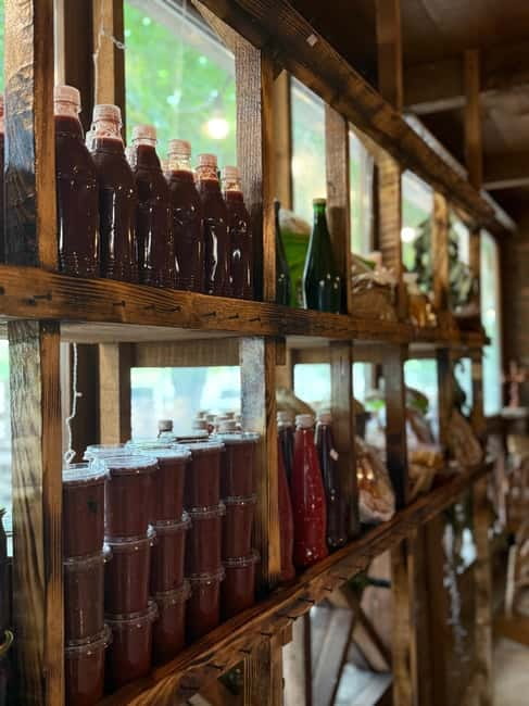 From Tbilisi: Kakheti Wine Trip + Free Wine&Chacha Tasting - Getting started from Maharajah, then settling into the 10-hour flow