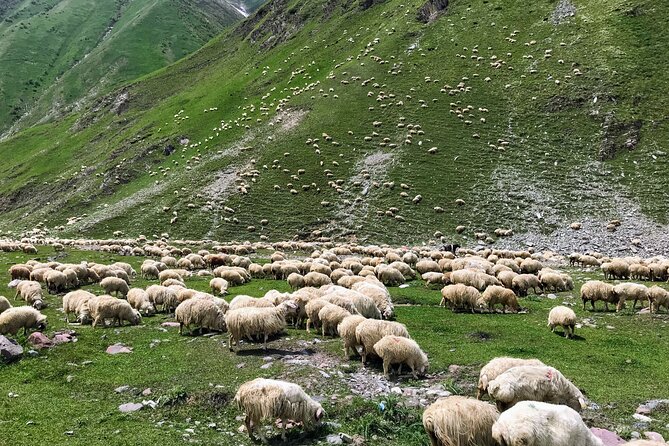 From Tbilisi: Kazbegi Ananuri Gudauri and Trusso Valley by 4x4 - Gergeti Trinity Church visit when weather decides the outcome